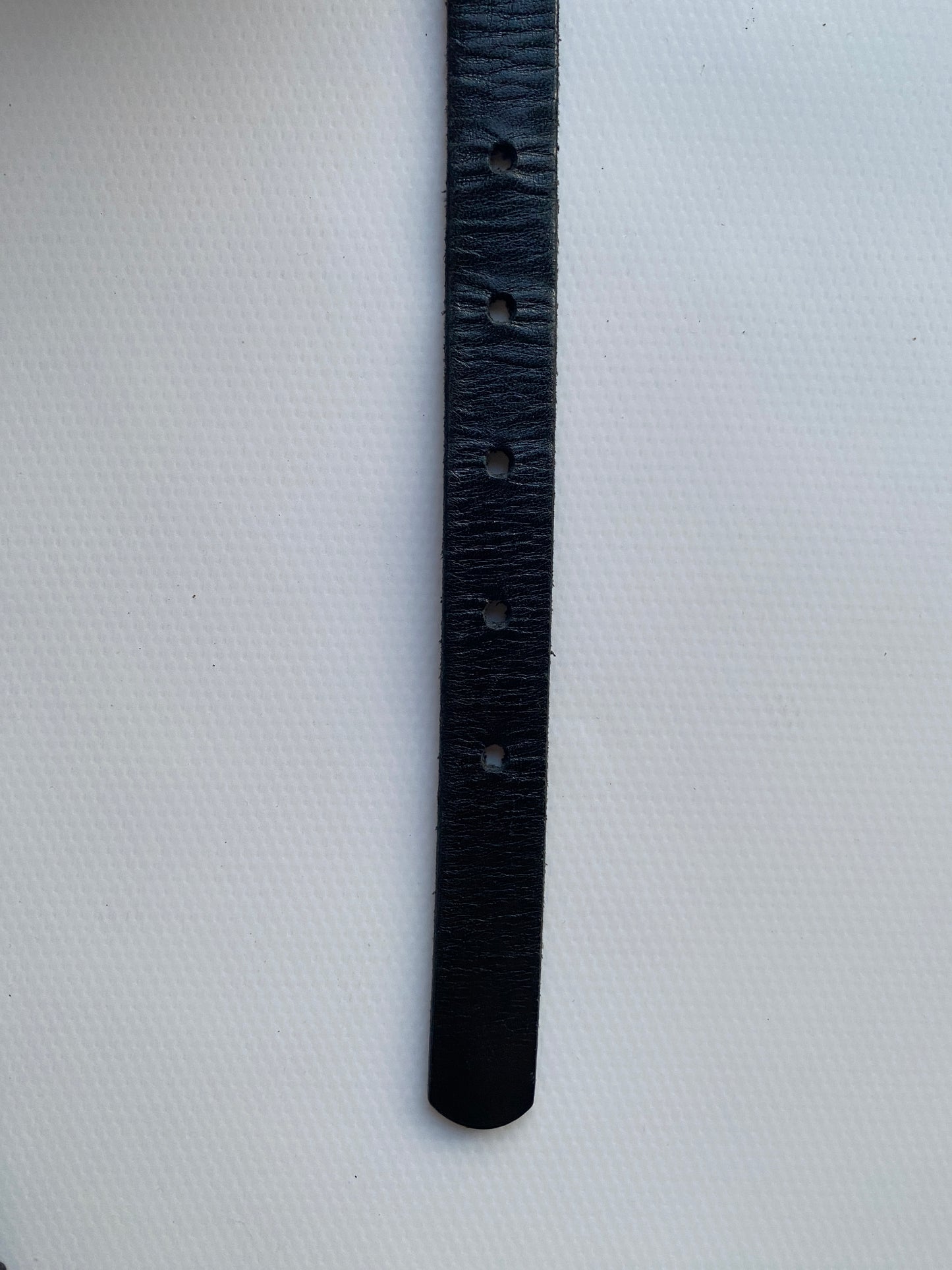 Etienne Aigner Ledergürtel schwarz mit Silber-Akzenten, 75